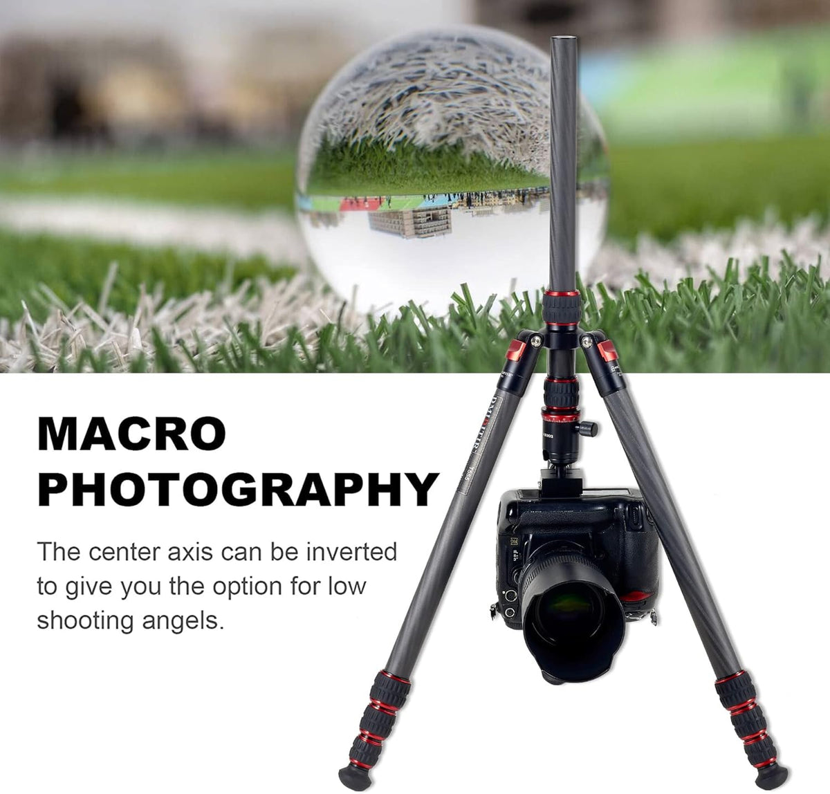 Carbon Fiber DSLR Camera Tripod Monopod with 360 Degree Ball Head O628290