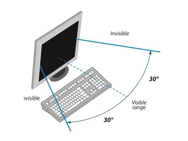Black Widescreen Privacy Filter T534