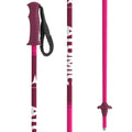 Ski Poles A16743