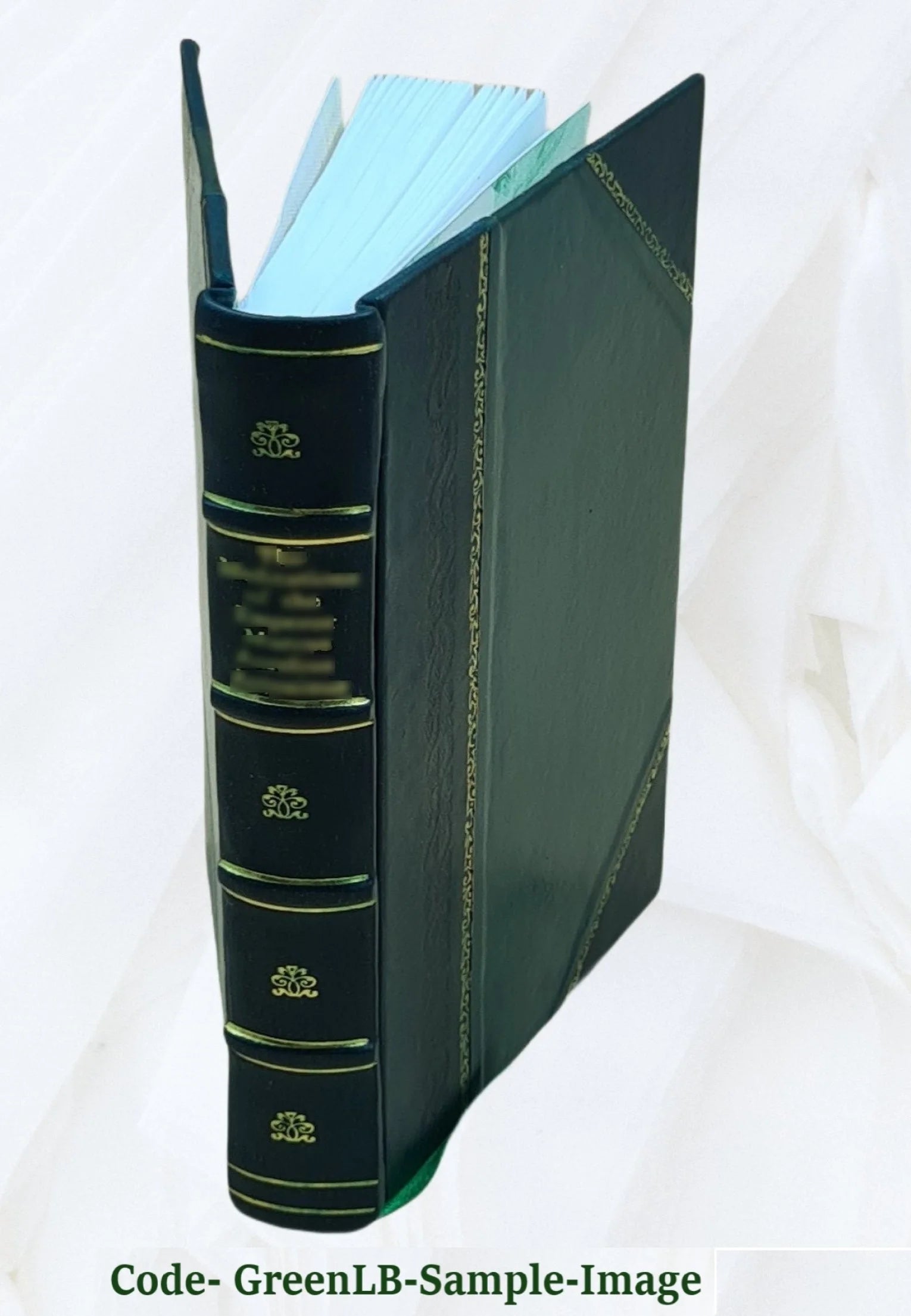 Leather Bound Book F954312