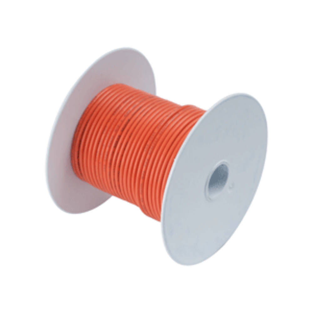 30 ft Ethernet Cable L91898