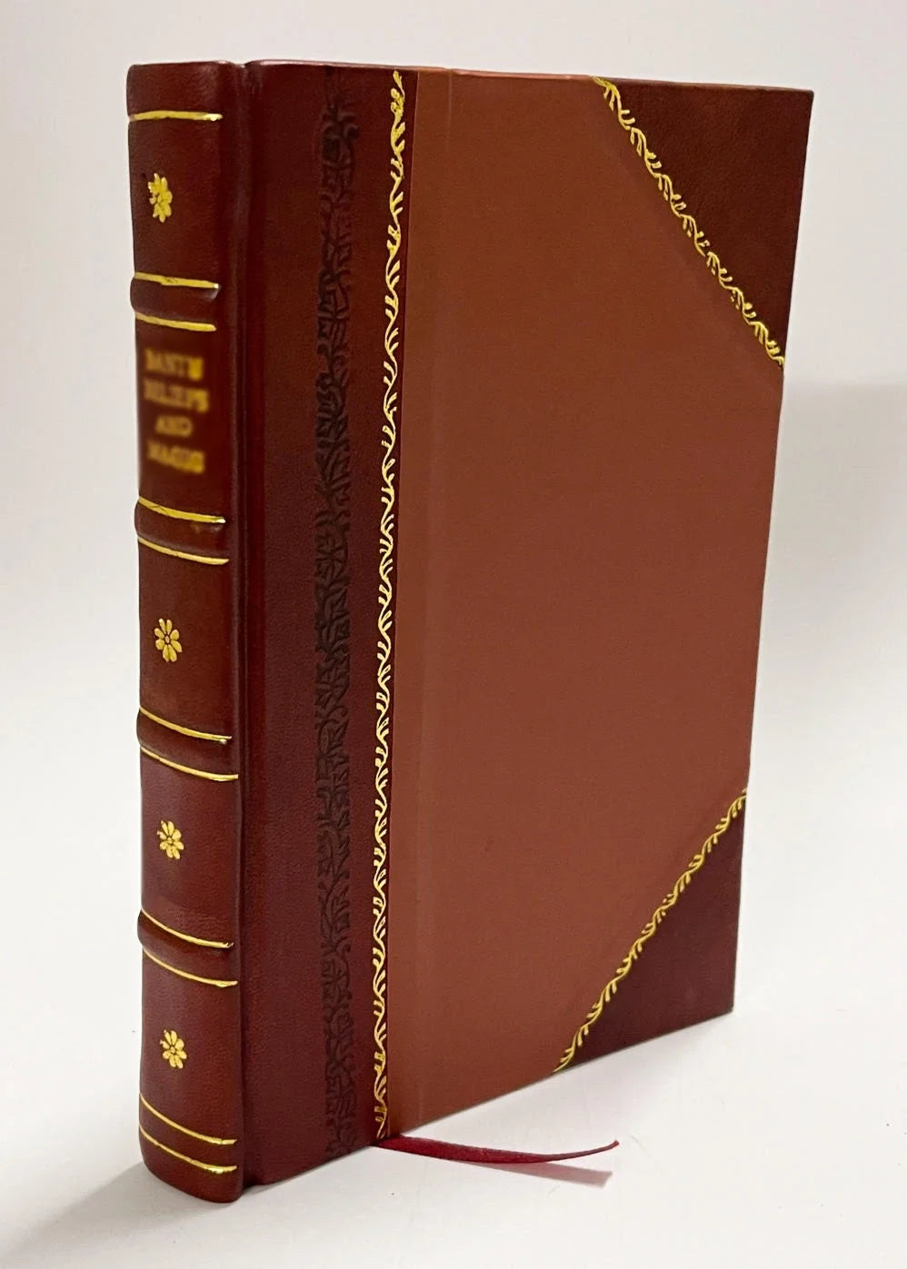 Leather Bound Book S560699