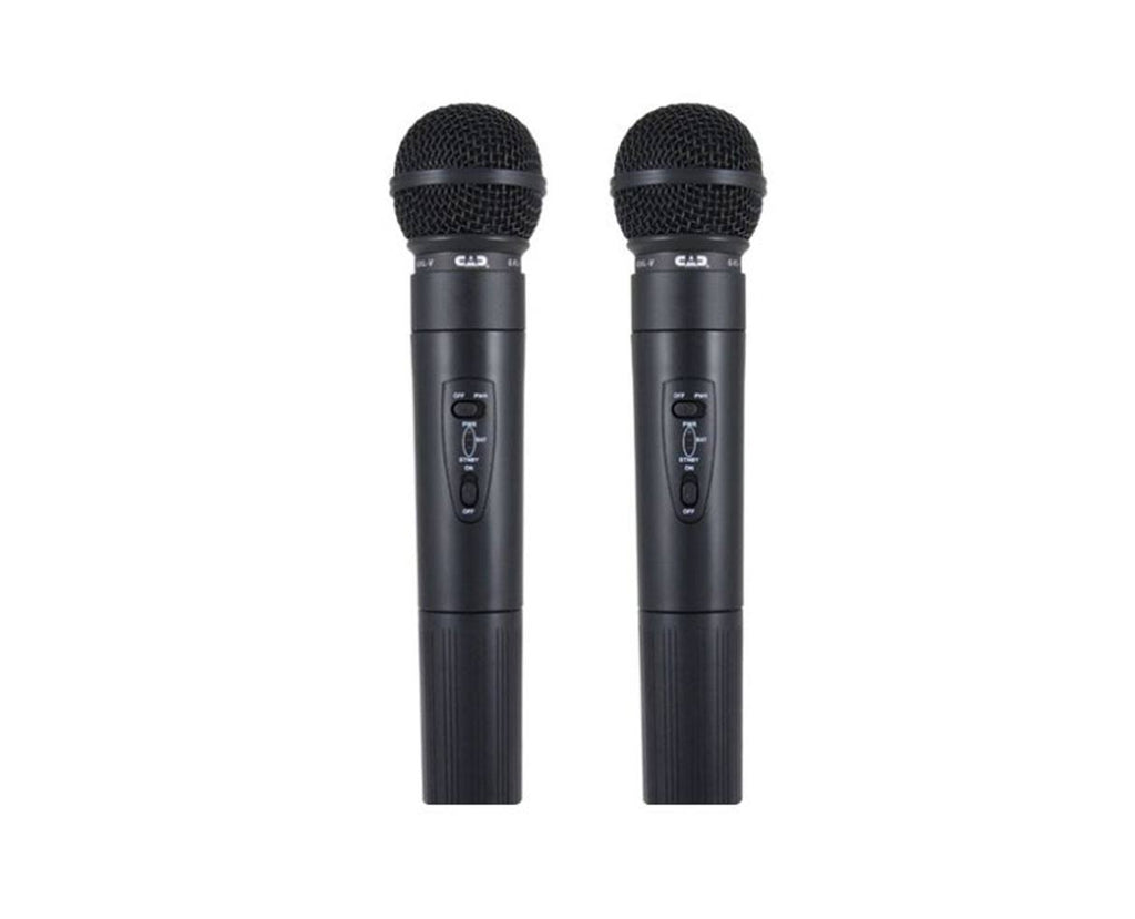 Dual Handheld Wireless System K24575