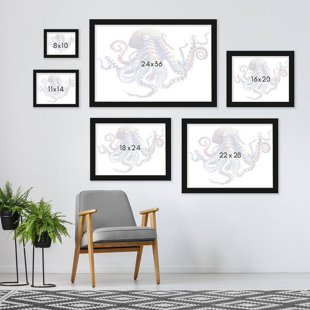 Octopus Black Frame 16x22x20x22 A743