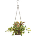 Assorted Greens Hanging Basket W677