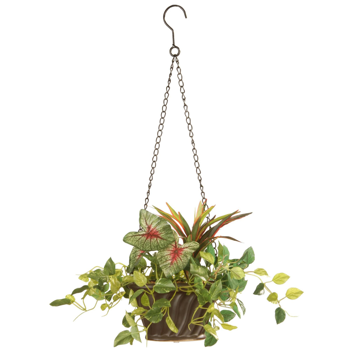 Assorted Greens Hanging Basket W677