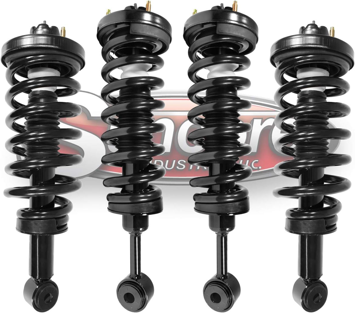 Front & Rear Air Suspension to Complete Struts Conversion Kit Replacement N67178