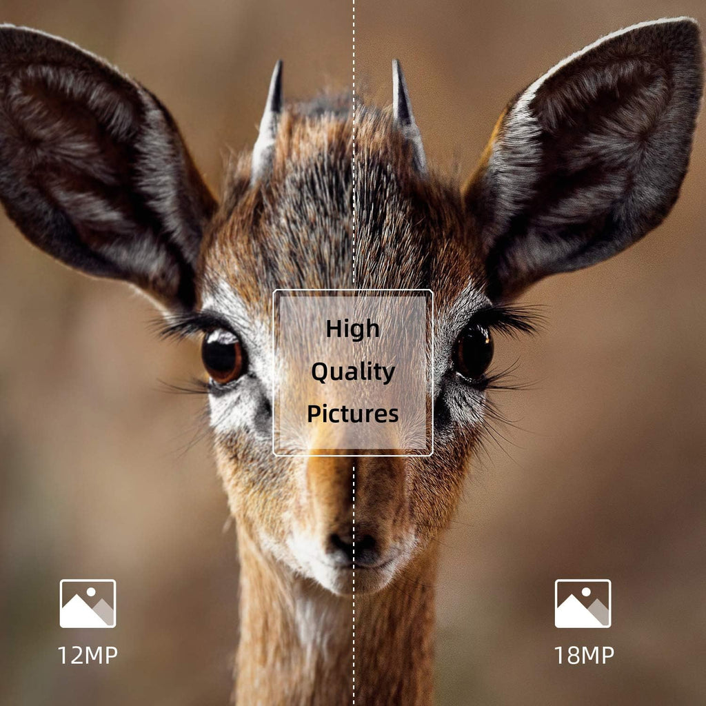 2 Pack 18MP 1080P Game Hunting Scouting Camera with 3 Infrared Sensors Motion Activated Night Vision 2.4" LCD N6121