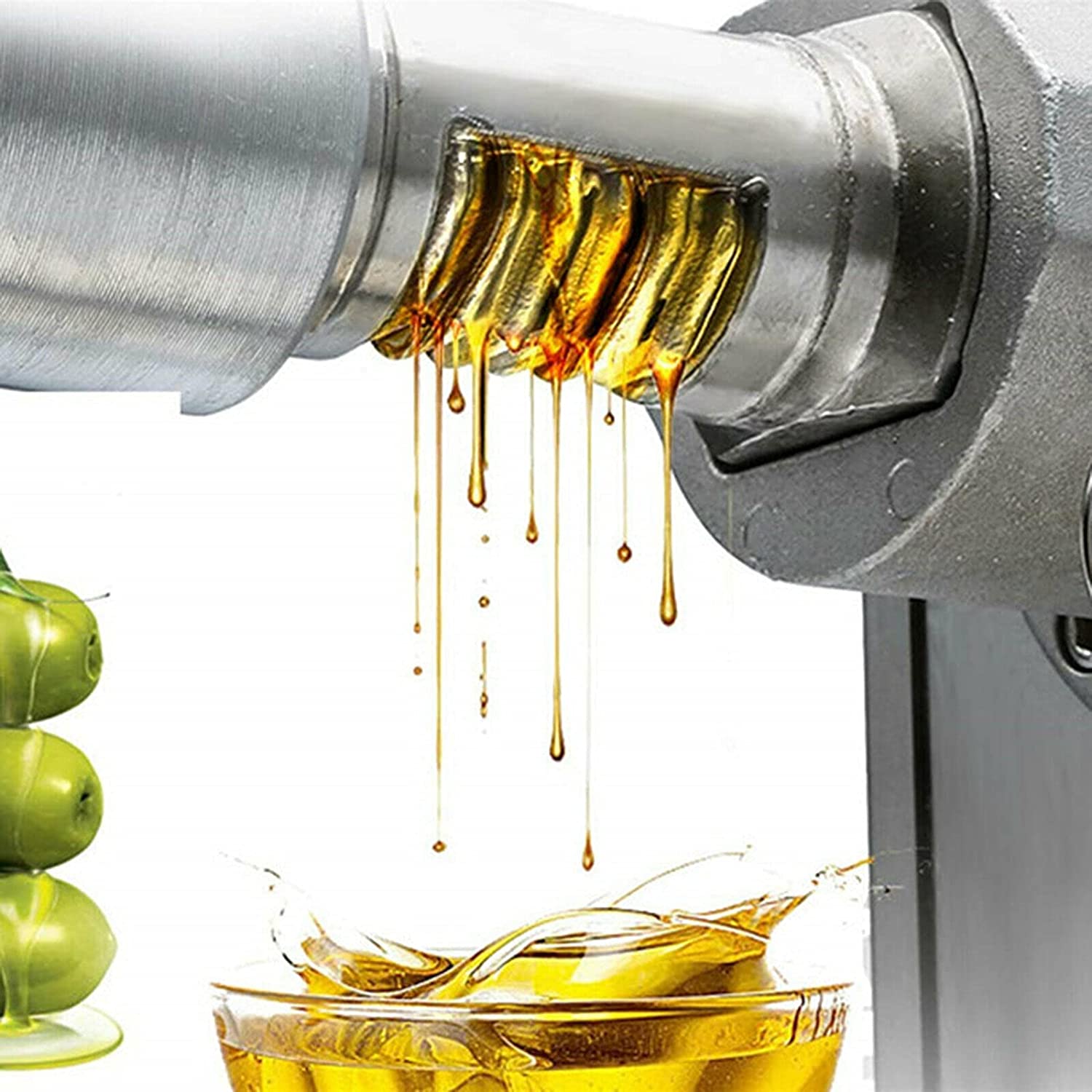 600W Electric Stainless Steel Oil Press Machine Y689963