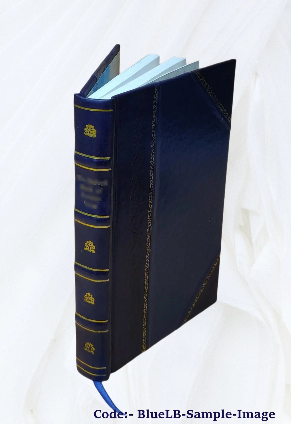 Leather Bound Book F954312