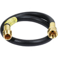 LP Hose Assembly P404878