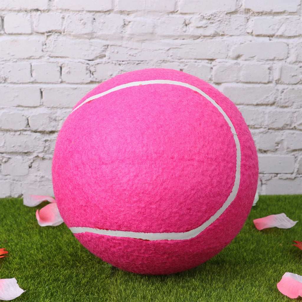 Pink Inflatable Flannel Ball G81799