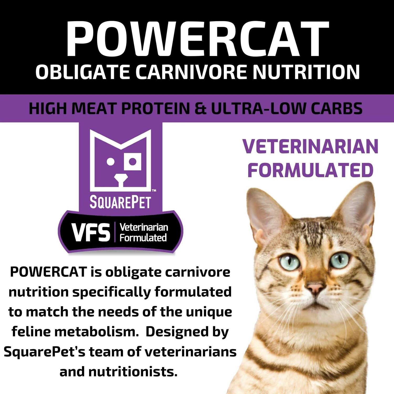 Turkey & Chicken Dry Cat Food A318576