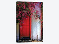 Red Door Canvas Wall Decor Prints P52962