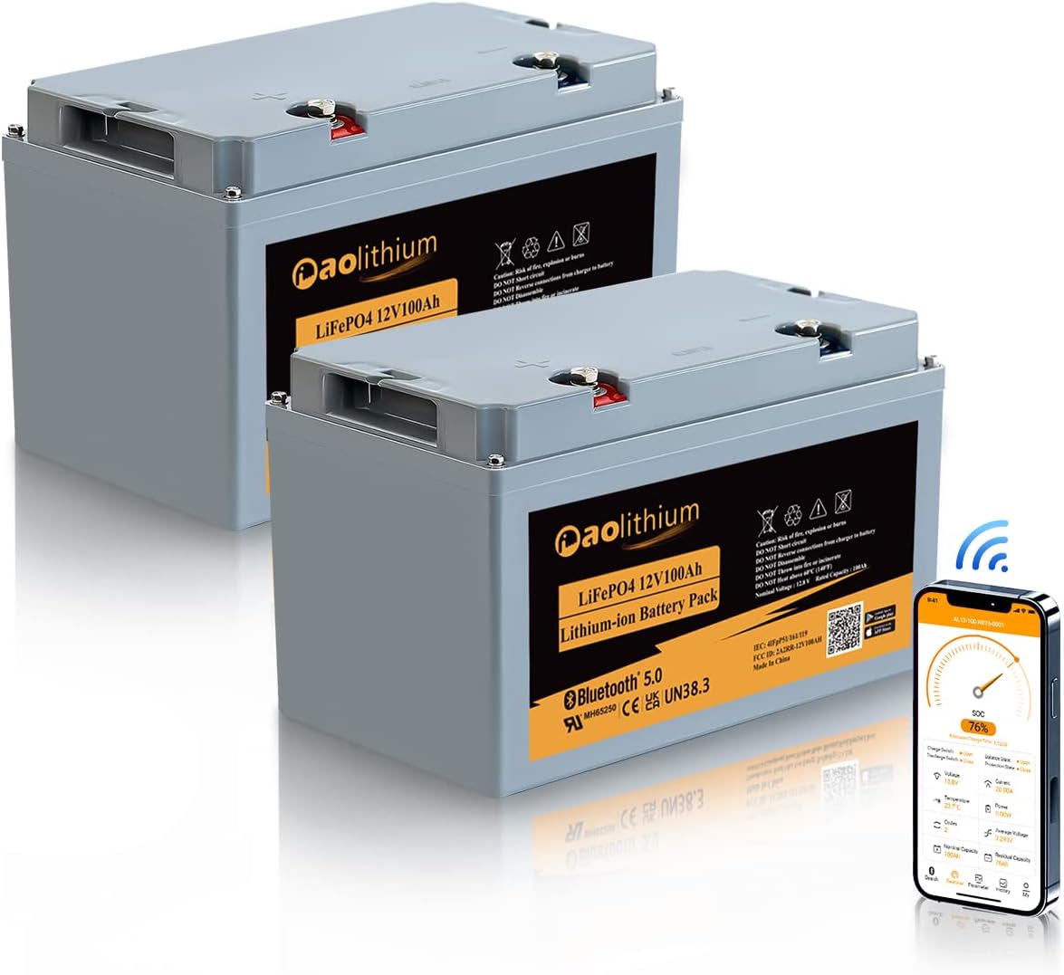 12V 12Ah LiFePO4 Deep Cycle Rechargeable Battery with Built-in BMS and F2 Terminal X5666