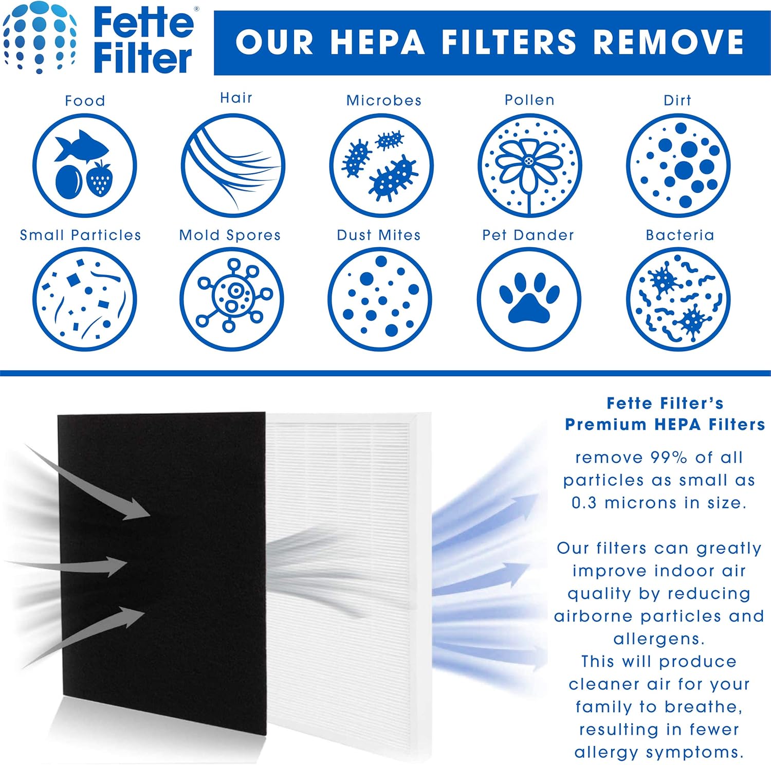 1 True HEPA Filter + 4 Carbon Replacement Filters Pack of 2 J14514