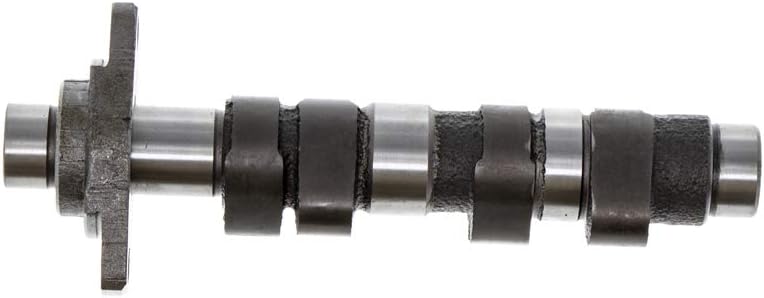 Cylinder Camshaft Piston Gasket Top End Kit For Honda TRX400 G679