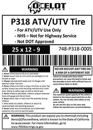 25 x 12-9 ATV/UTV Tire Pack of 2 R38936