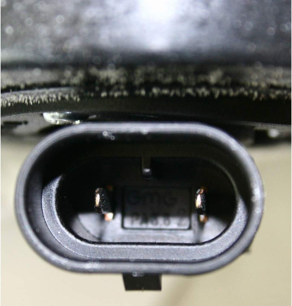 Fog Light Assembly Passenger Side with Bulbs Pack of 2 V50229