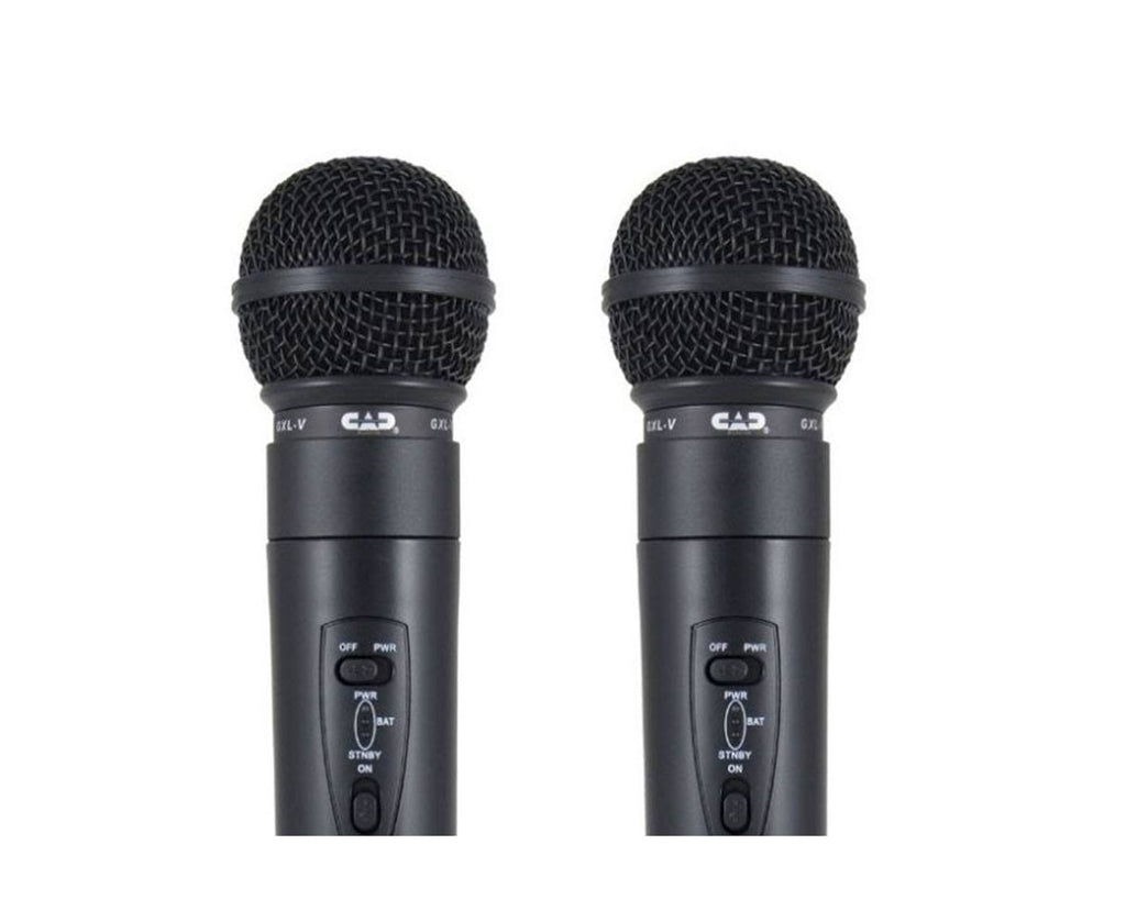 Dual Handheld Wireless System K24575