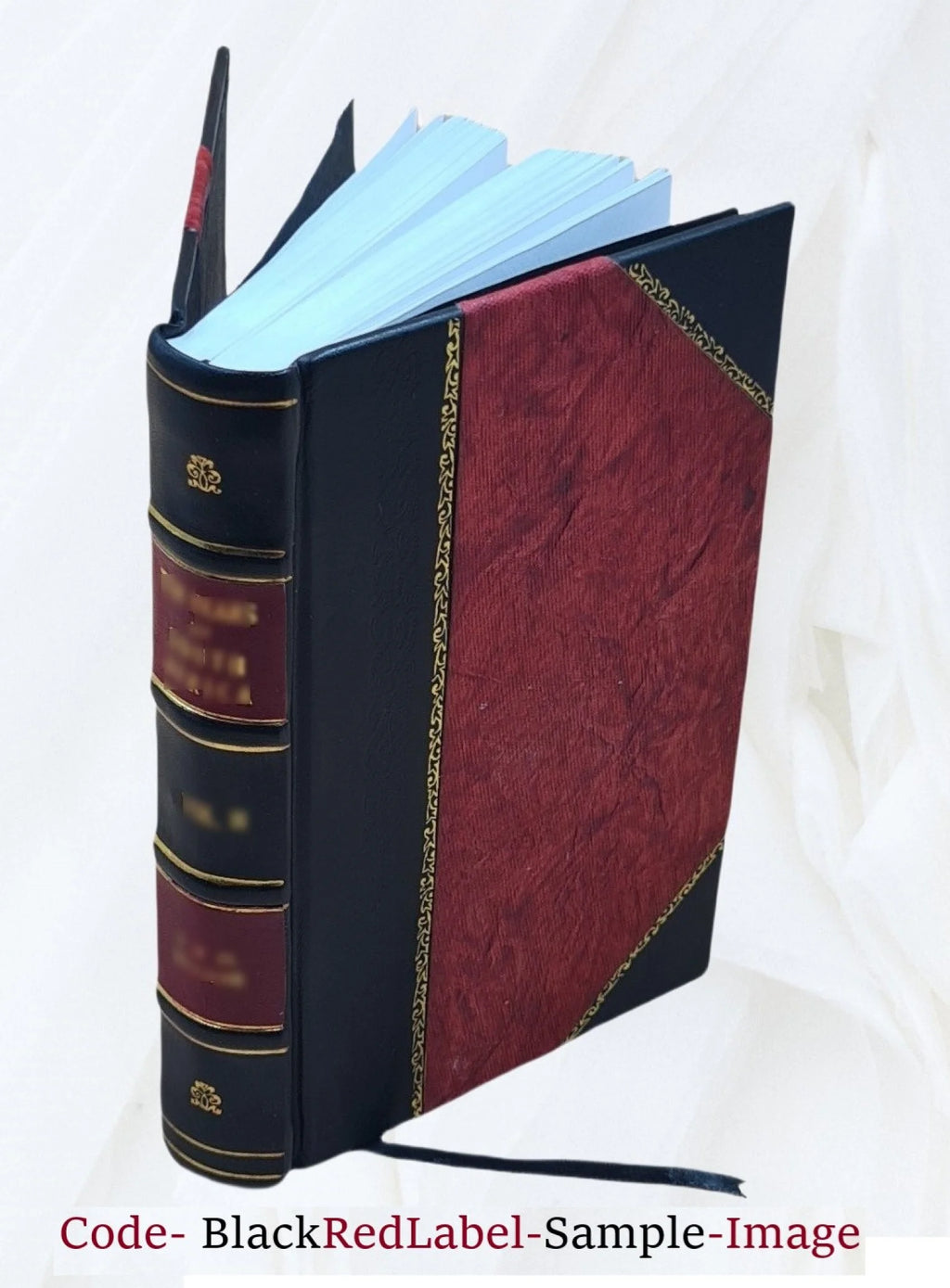 Leather Bound Book F954312